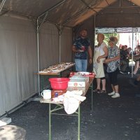 Maraton Karpiowy