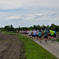 Bieg Konstytucji 3 Maja w Rudzach