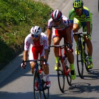 Tour de Pologne w Zatorze