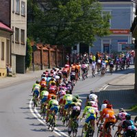 Tour de Pologne w Zatorze