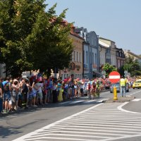 Tour de Pologne w Zatorze