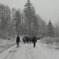 Pozdrowienia z Zielonej Szkoły