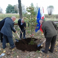 Europejskie Żniwa karpiowe