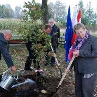 Europejskie Żniwa karpiowe